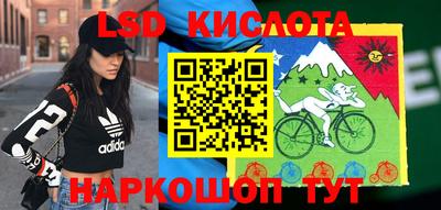 дживик Новозыбков