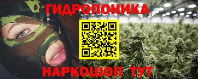 дживик Новозыбков