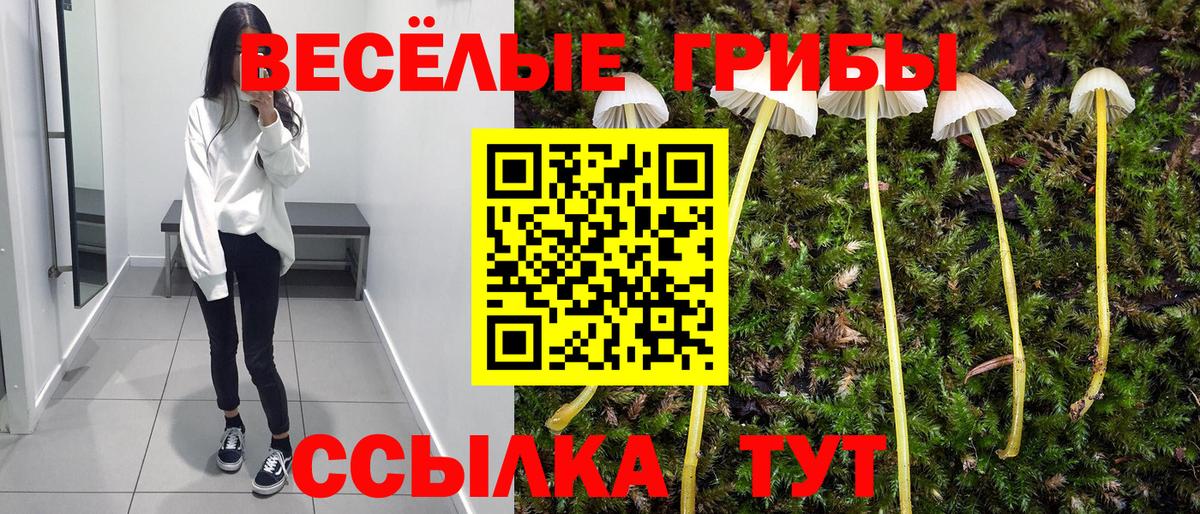 Тимашёвск  Псилоцибиновые грибы ЛСД  магазин    Вход с VPN 