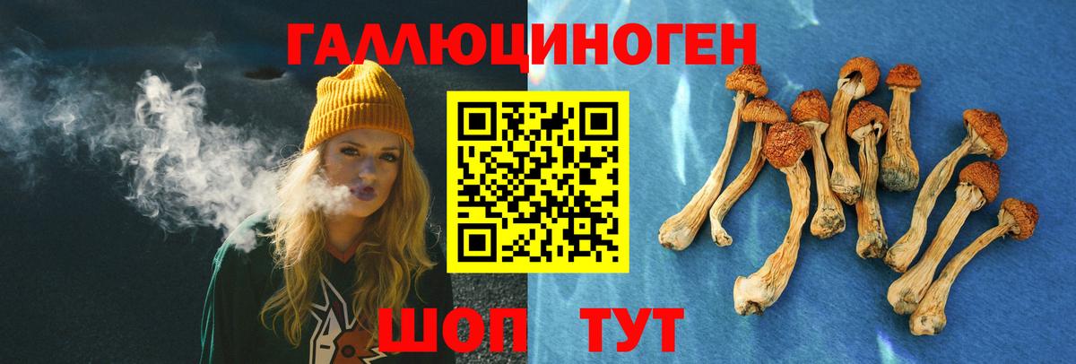 Псилоцибиновые грибы мицелий Тимашёвск